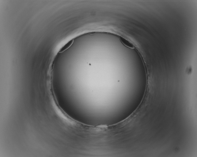 X0000113321528200909211143