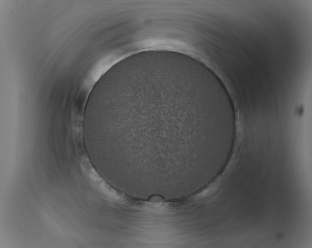 X0000113321529200909211143