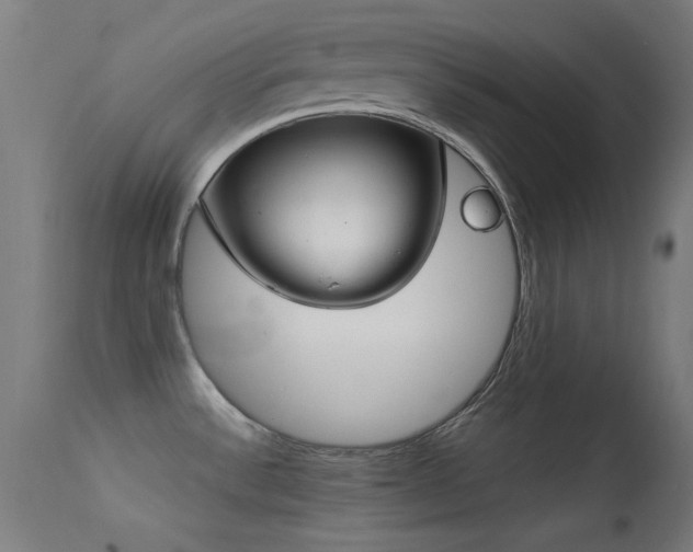 X0000113321532200909211143