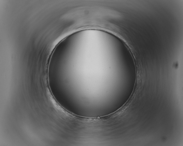 X0000113321534200909211143