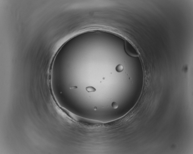 X0000113321535200909211143