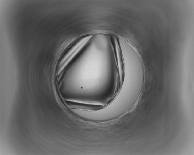 X0000113320001200909281217