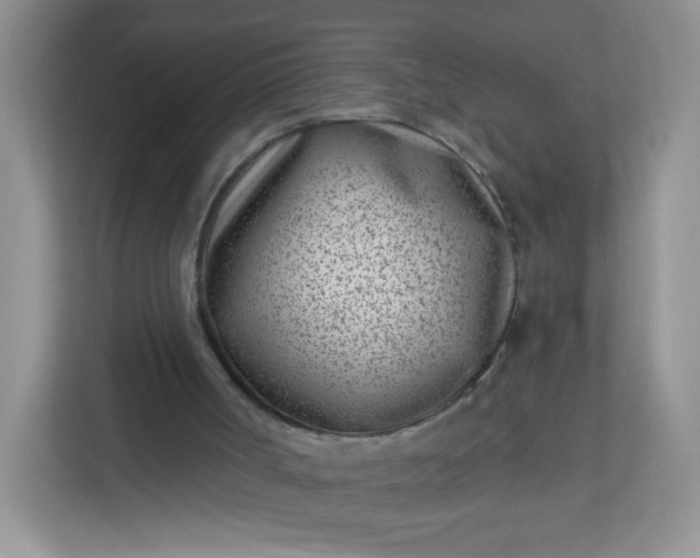 X0000113320002200909281217