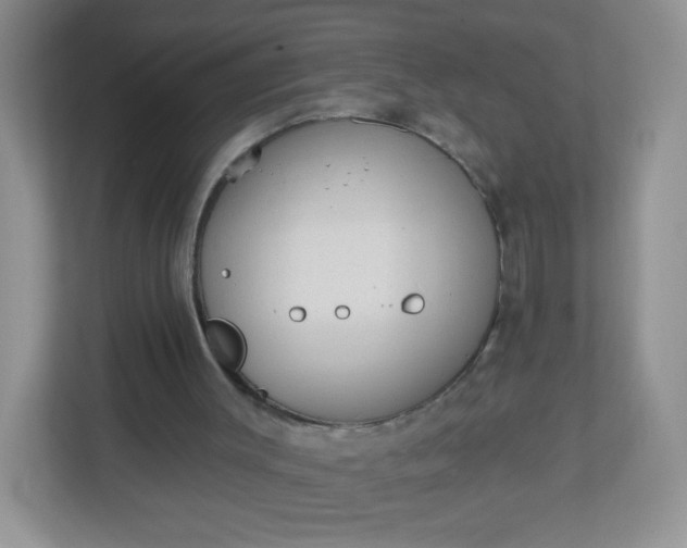 X0000113320003200909281217