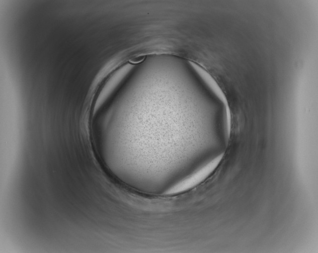 X0000113320004200909281217