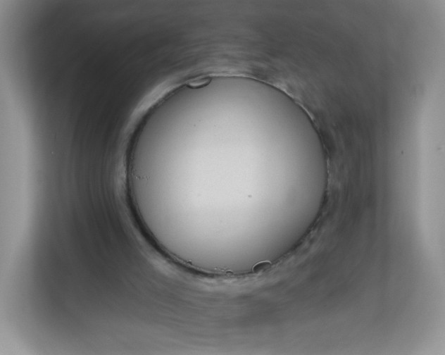 X0000113320005200909281217