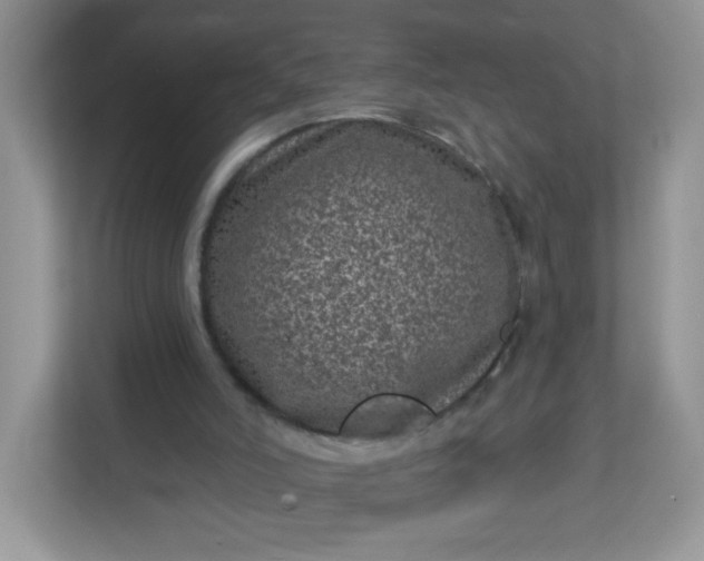 X0000113320006200909281217