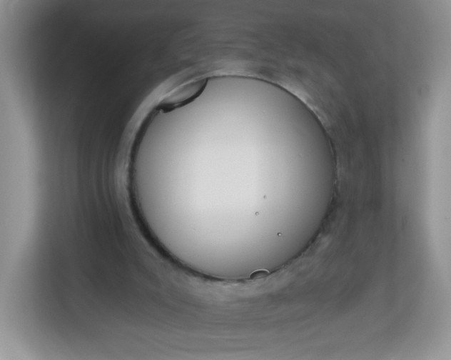 X0000113320007200909281217