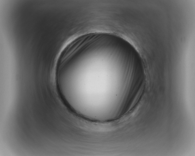 X0000113320008200909281217