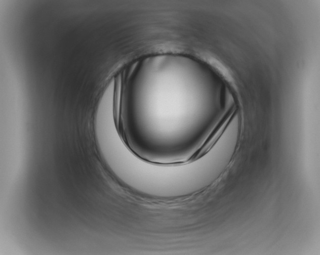 X0000113320009200909281217