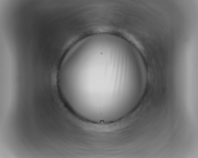 X0000113320010200909281217