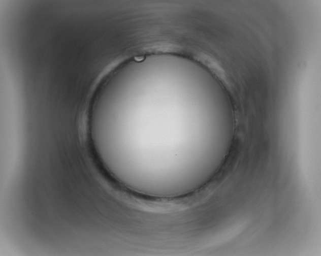 X0000113320012200909281217