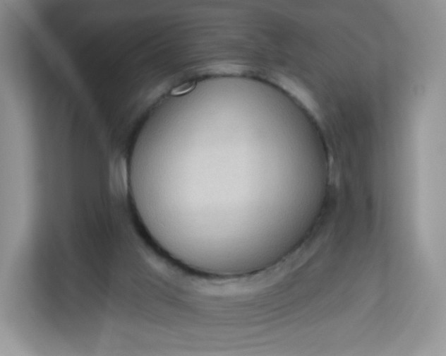 X0000113320013200909281217