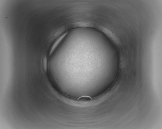 X0000113320014200909281217