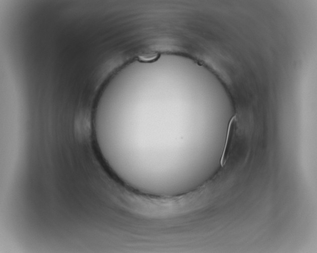 X0000113320015200909281217