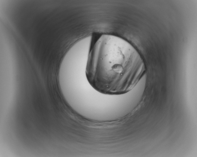 X0000113320017200909281216