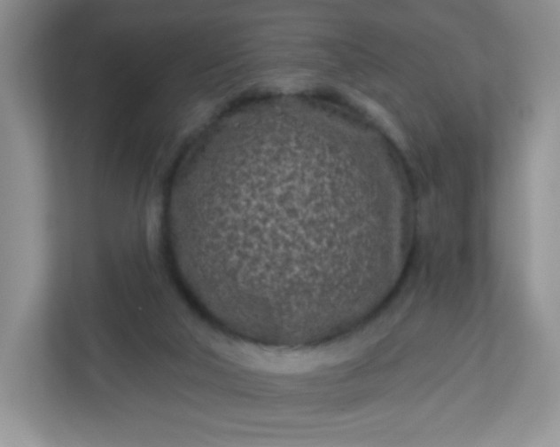 X0000113320018200909281216