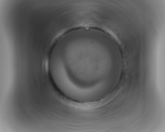 X0000113320019200909281216