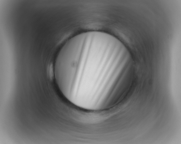 X0000113320020200909281216