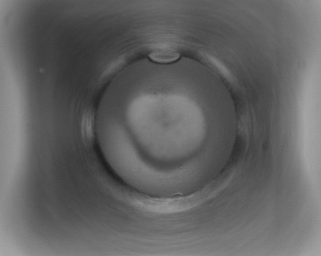 X0000113320023200909281216