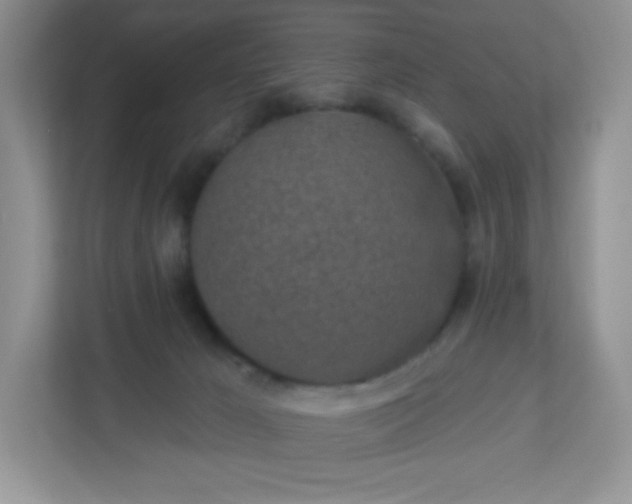 X0000113320029200909281216