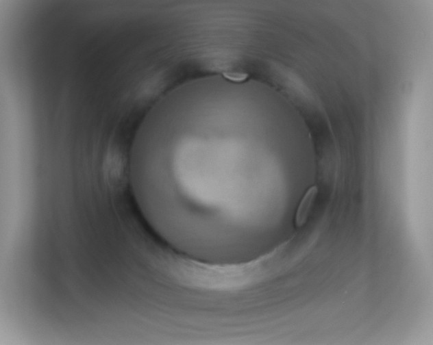 X0000113320031200909281216