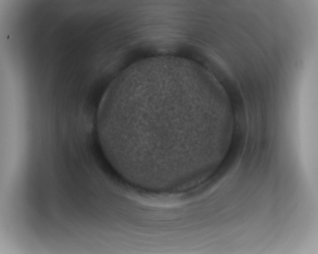 X0000113320032200909281216