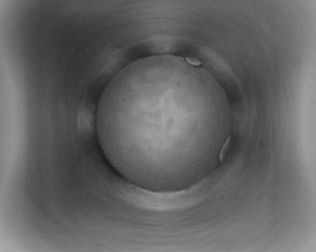 X0000113320035200909281216