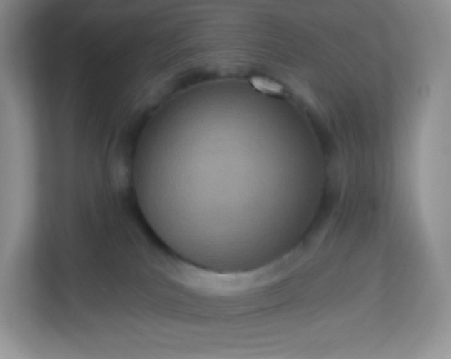 X0000113320039200909281216