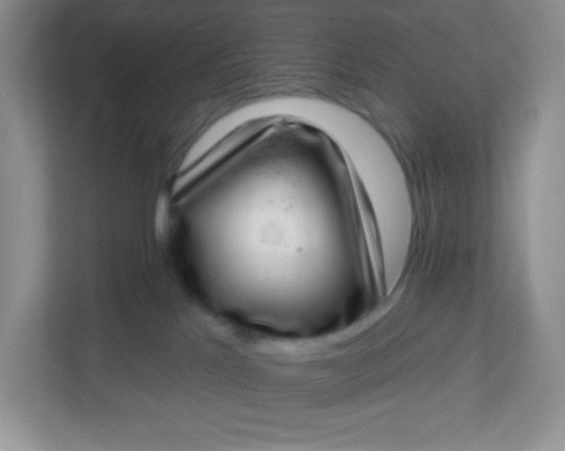 X0000113320041200909281216