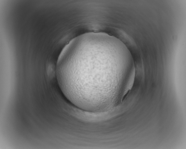 X0000113320043200909281216