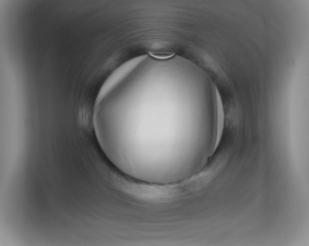 X0000113320044200909281216