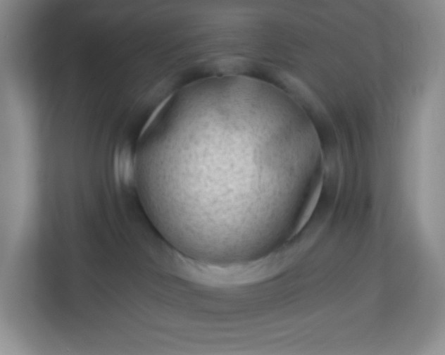 X0000113320046200909281216