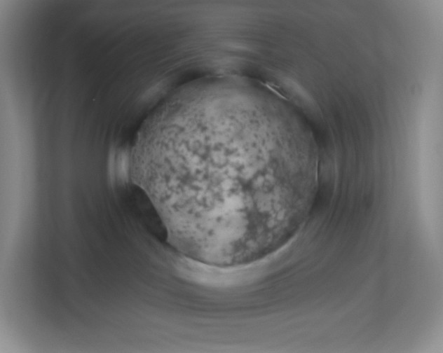 X0000113320047200909281216