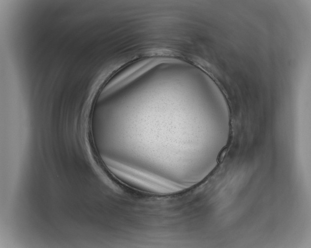 X0000113320049200909281215