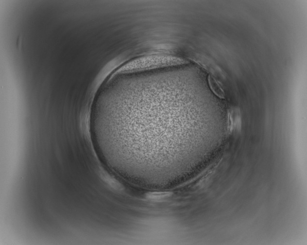 X0000113320051200909281215