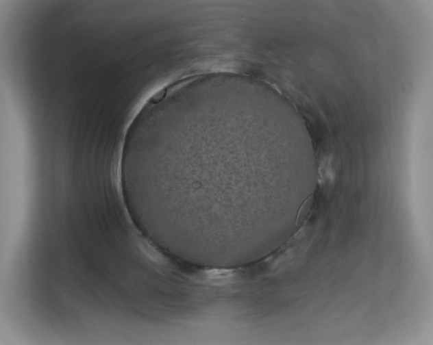 X0000113320052200909281215