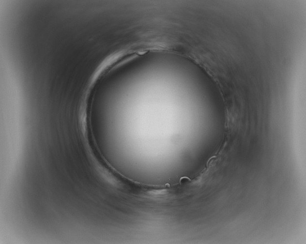 X0000113320054200909281216