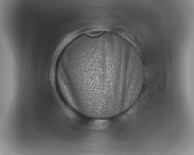 X0000113320055200909281216