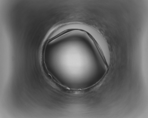 X0000113320056200909281216