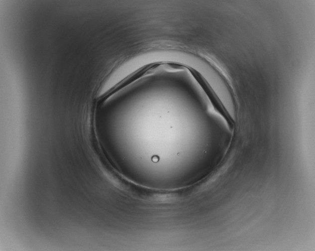 X0000113320057200909281216