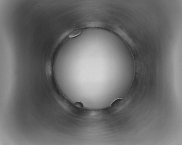 X0000113320060200909281216