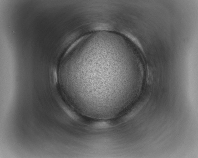 X0000113320061200909281216