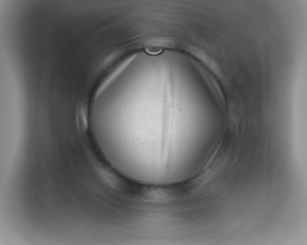 X0000113320062200909281216