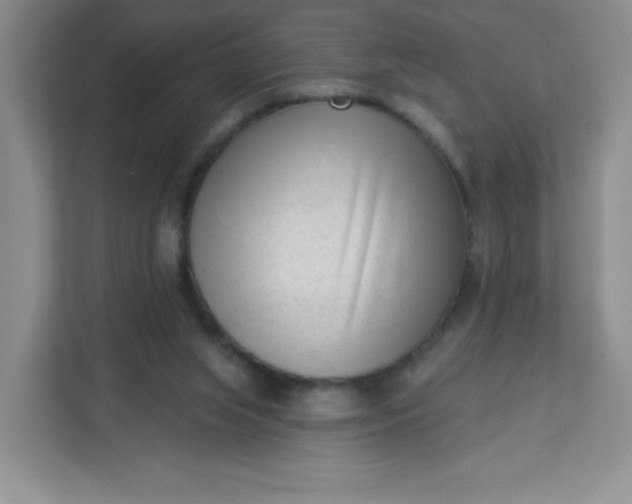 X0000113320063200909281216