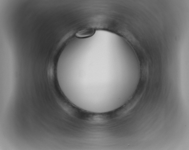 X0000113320064200909281216