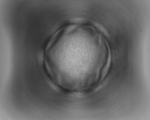 X0000113320065200909281216