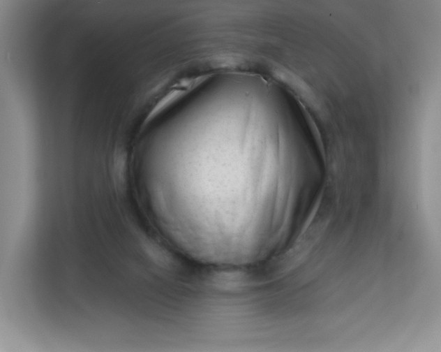 X0000113320066200909281216