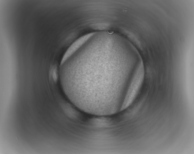 X0000113320069200909281216