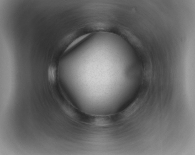 X0000113320070200909281216